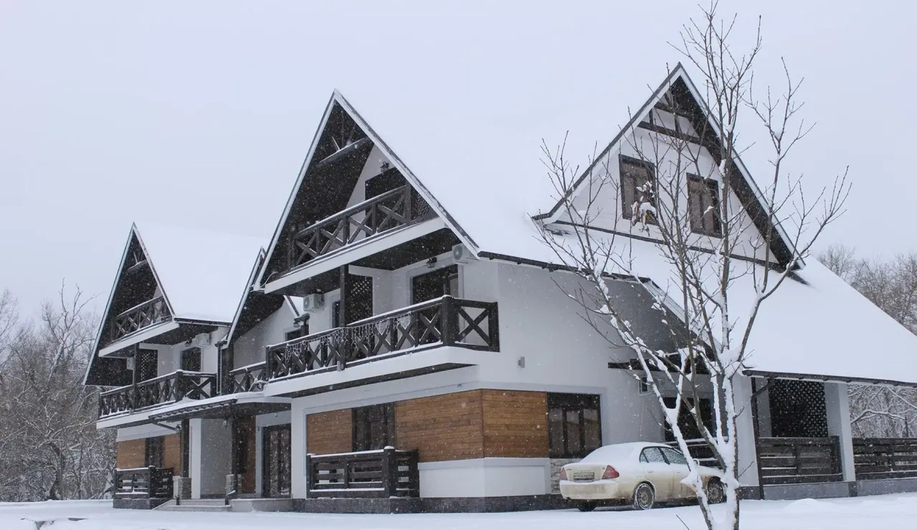 Отель Каштан