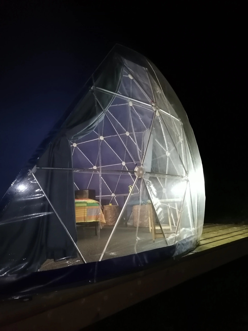 Папоротник