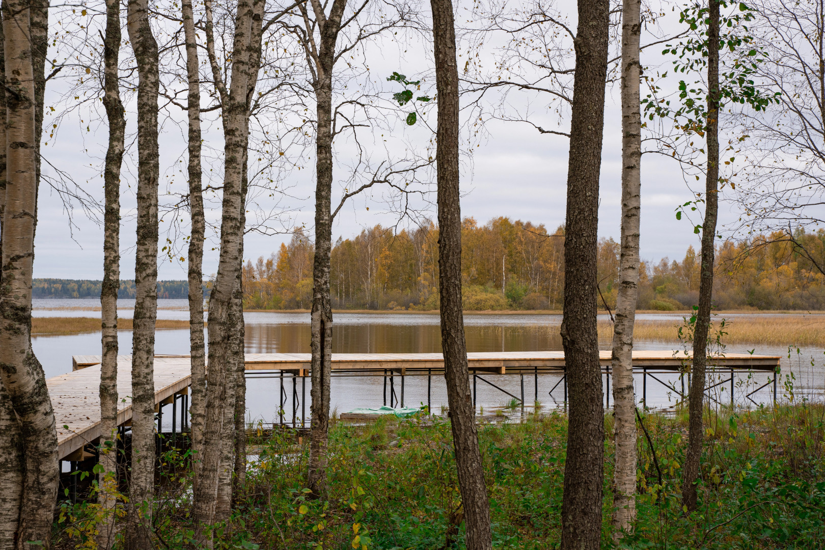 Частный дом Мох