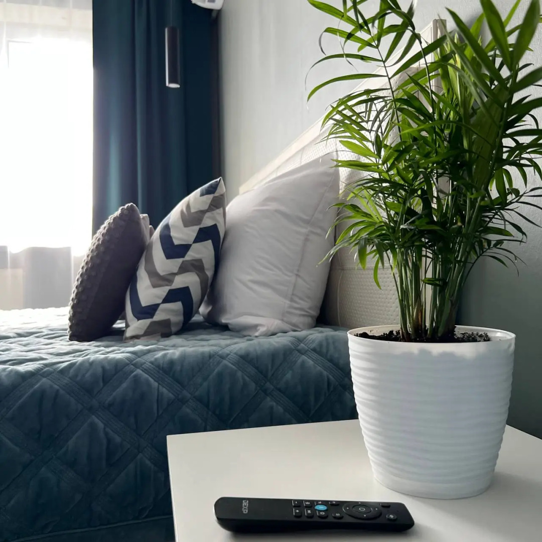 Квартира Гармония ЖК Московский