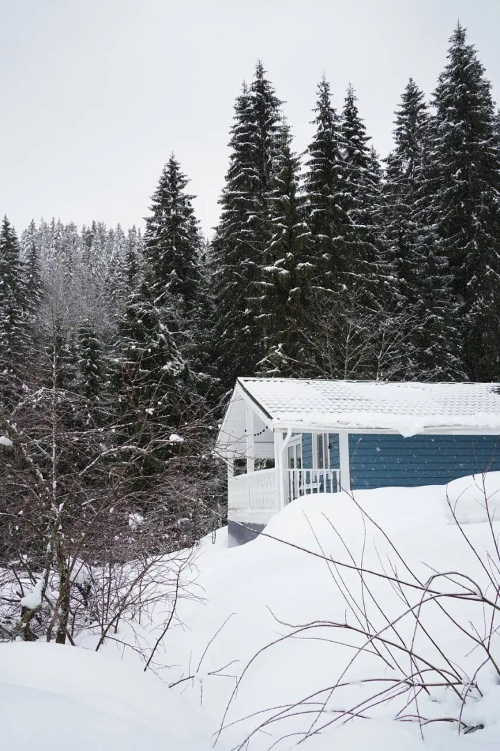 Частный дом Forest hut