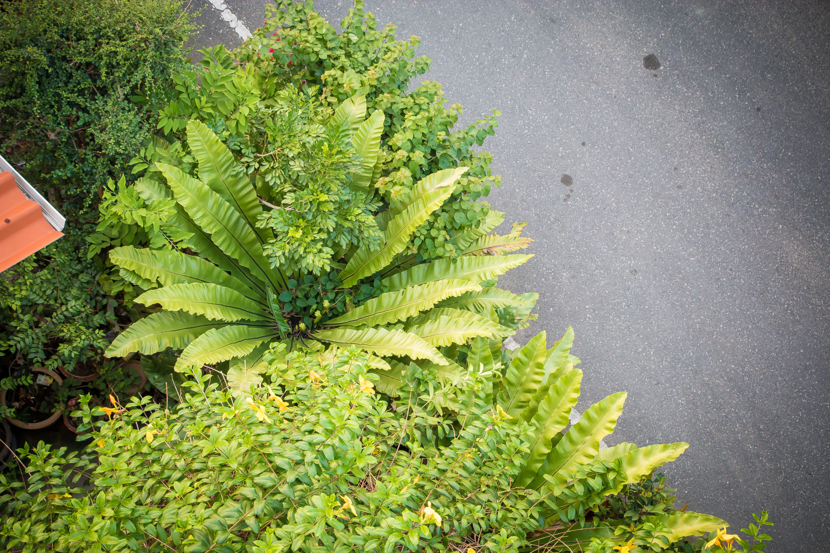 Отель Suchanan Hotel & Spa