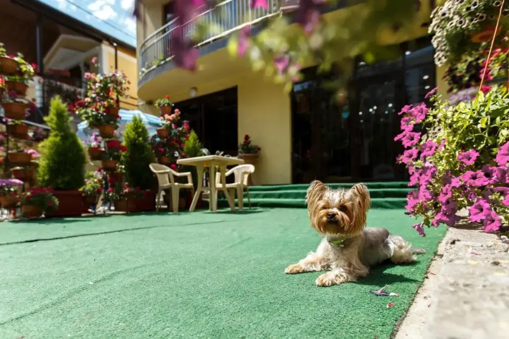 Гостевой дом Галина