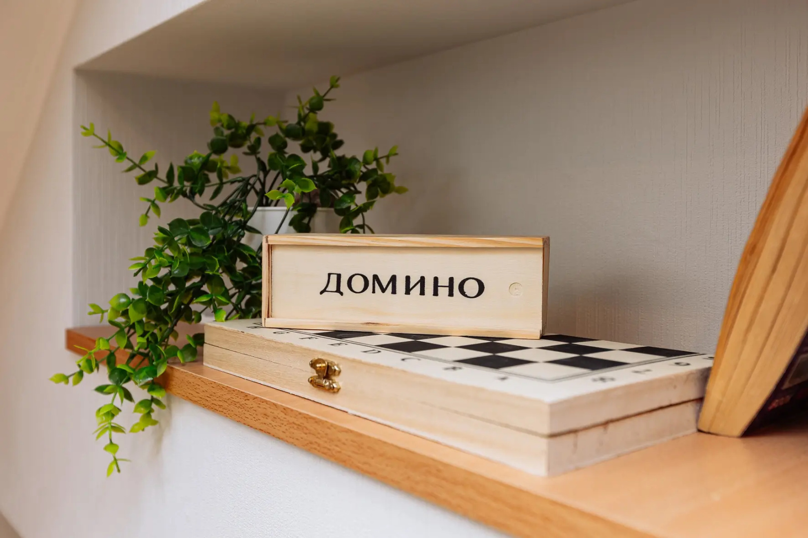 Квартира на Курортном проспекте