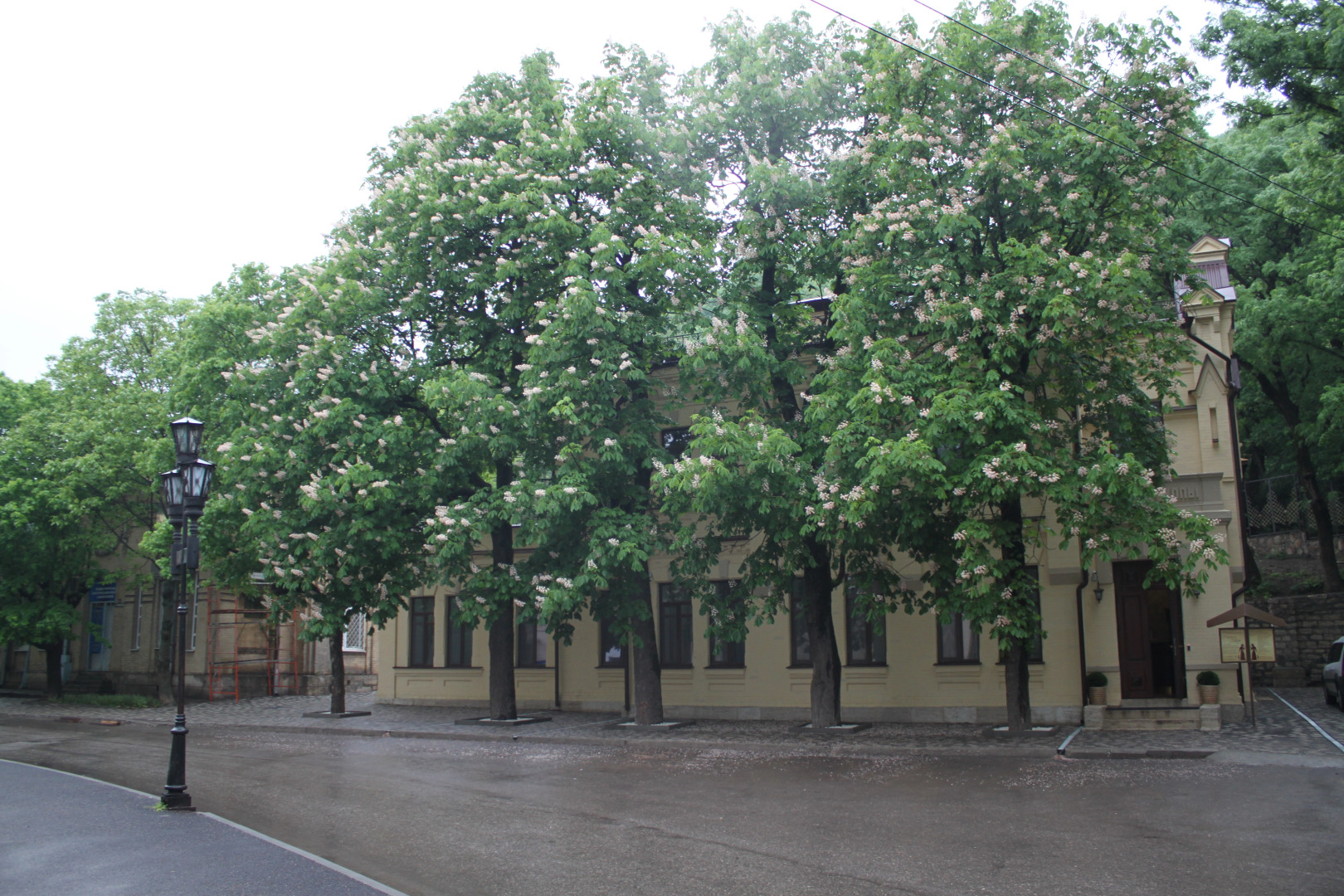 Мини-Отель Медицинский центр Княжна Мери