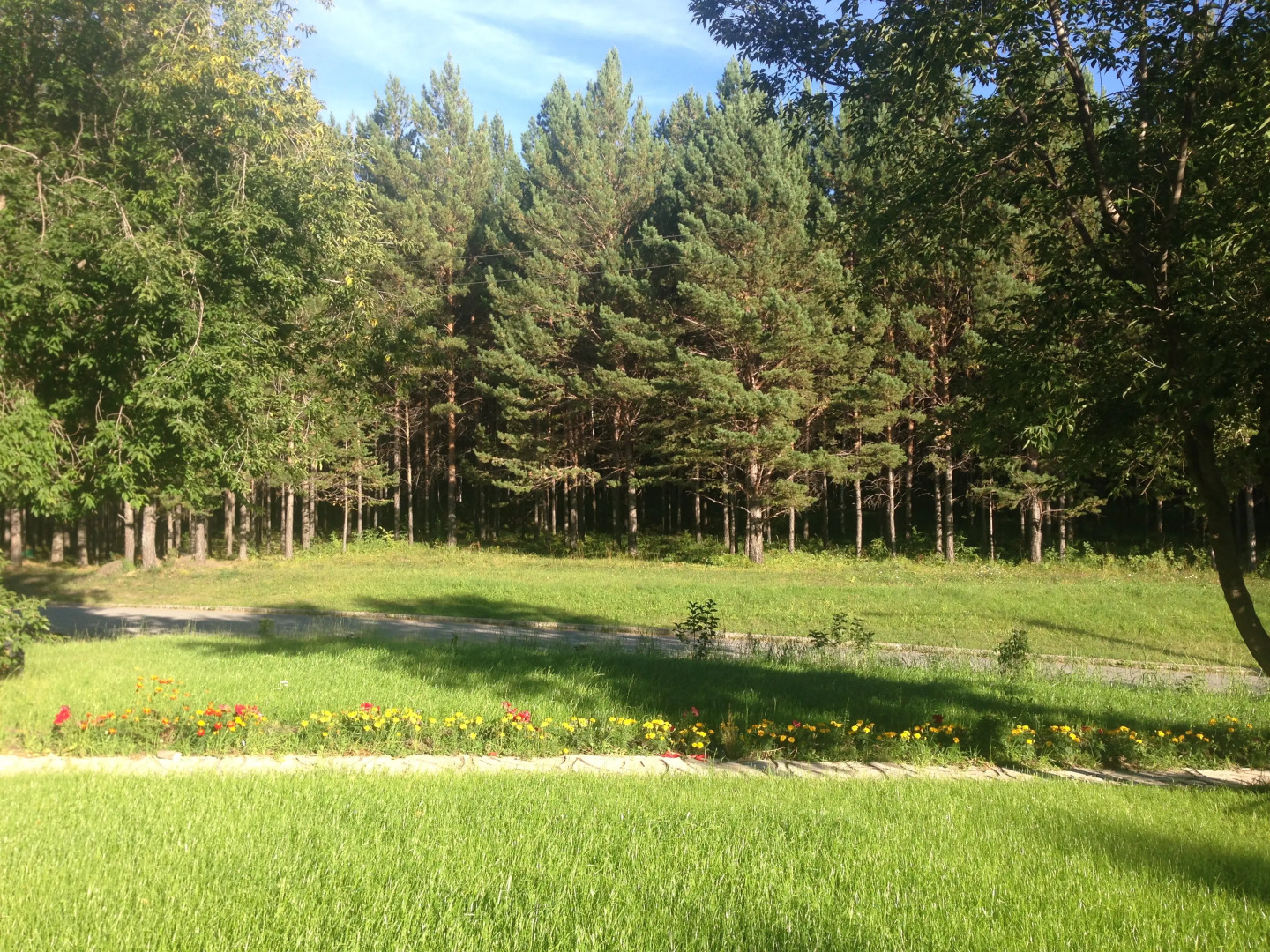 Гостиница Сосновый Бор