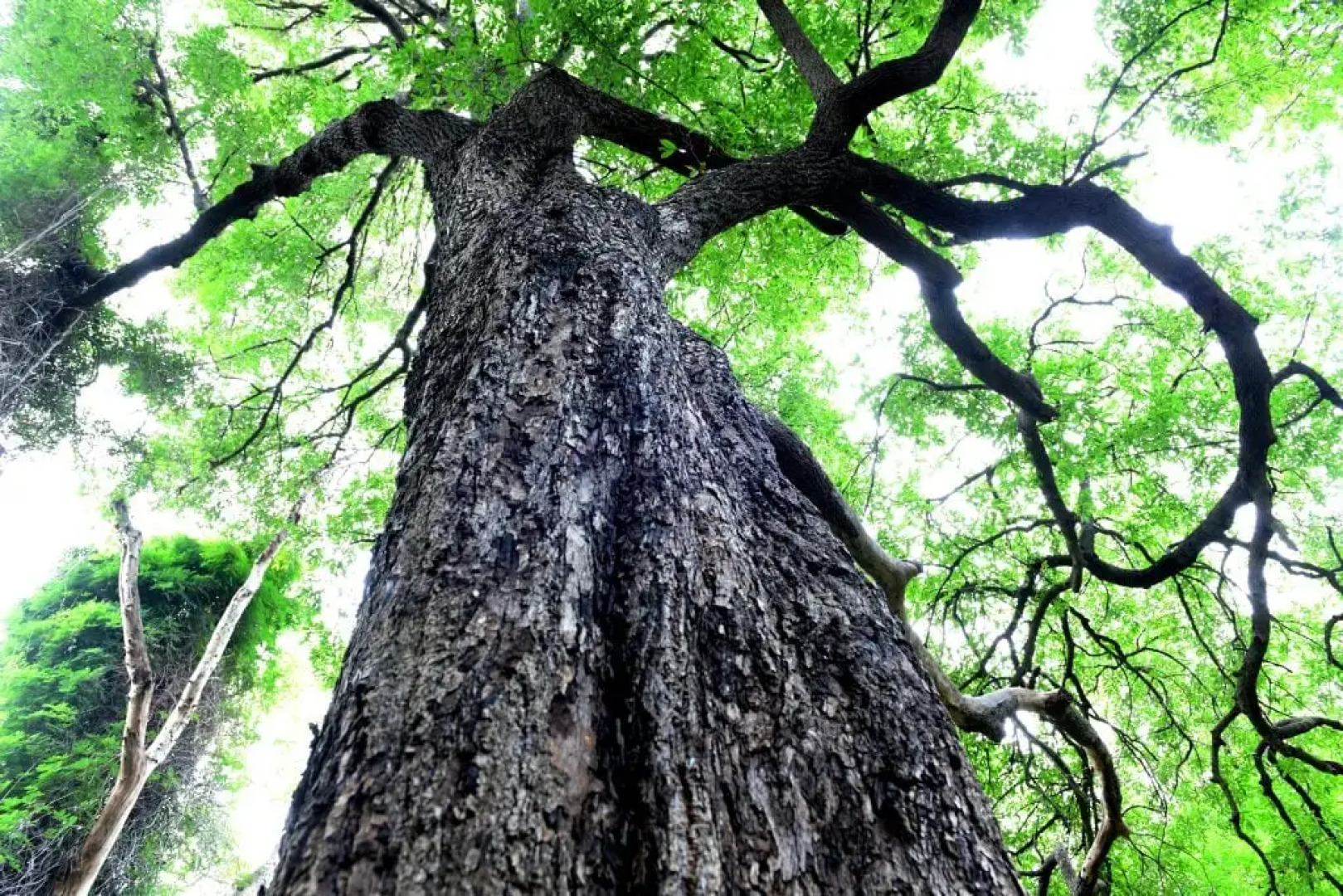 Шале The Hidden Valley