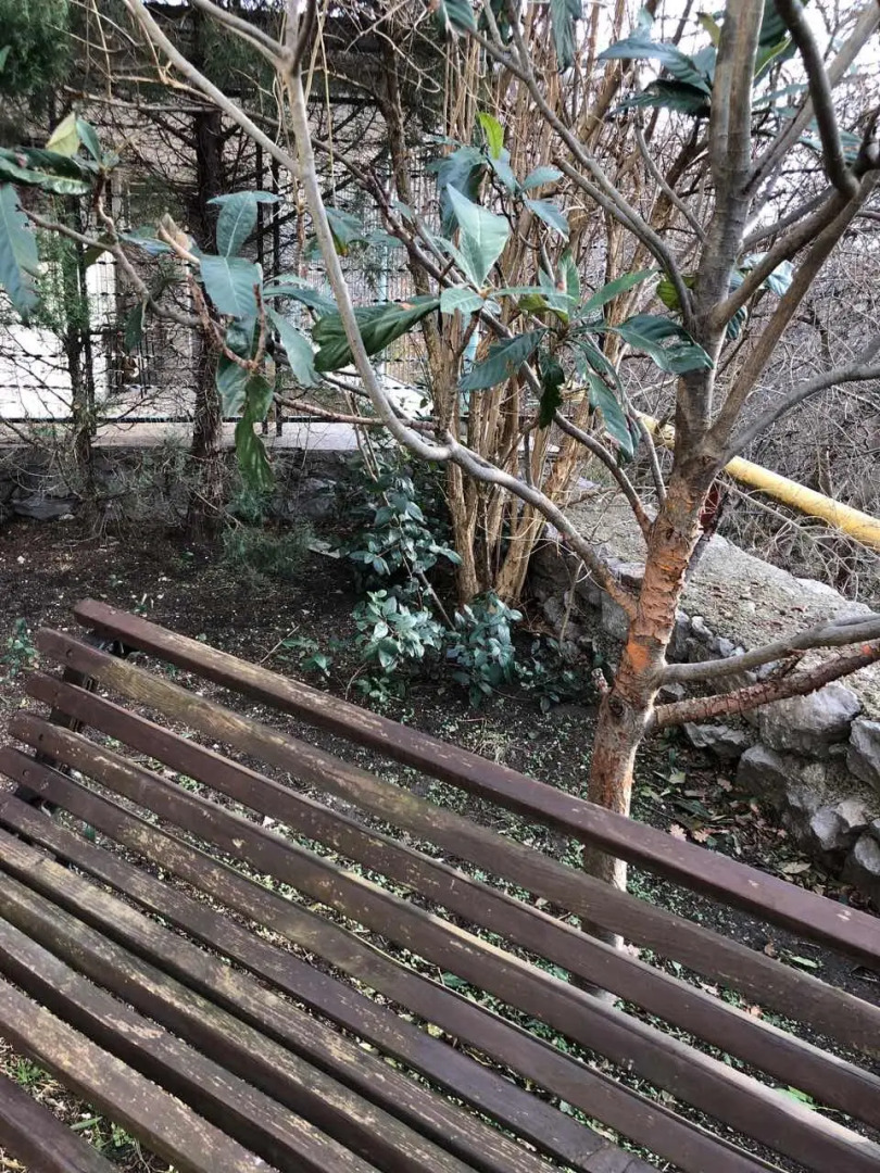 Гостевой Дом Крым Ностальжи