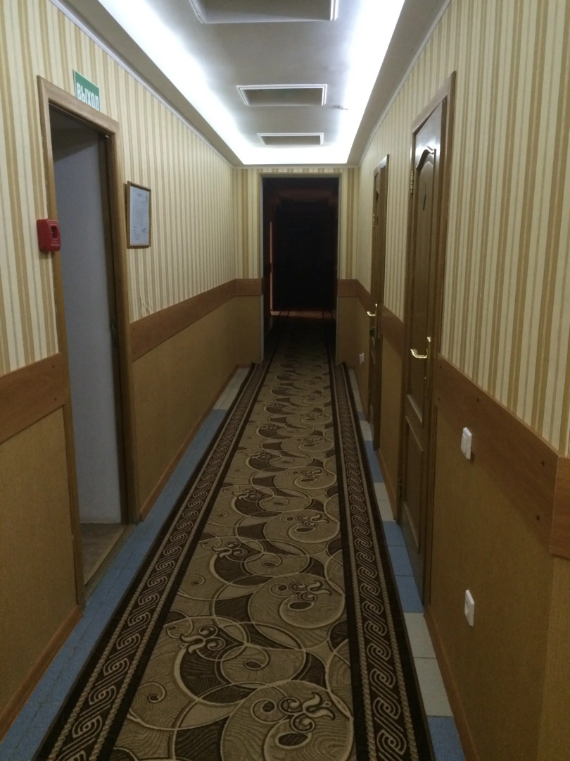 Отель Виардо