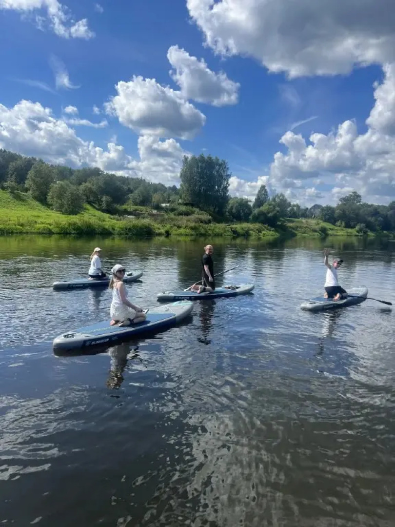 Частный дом Веселые гуси 1