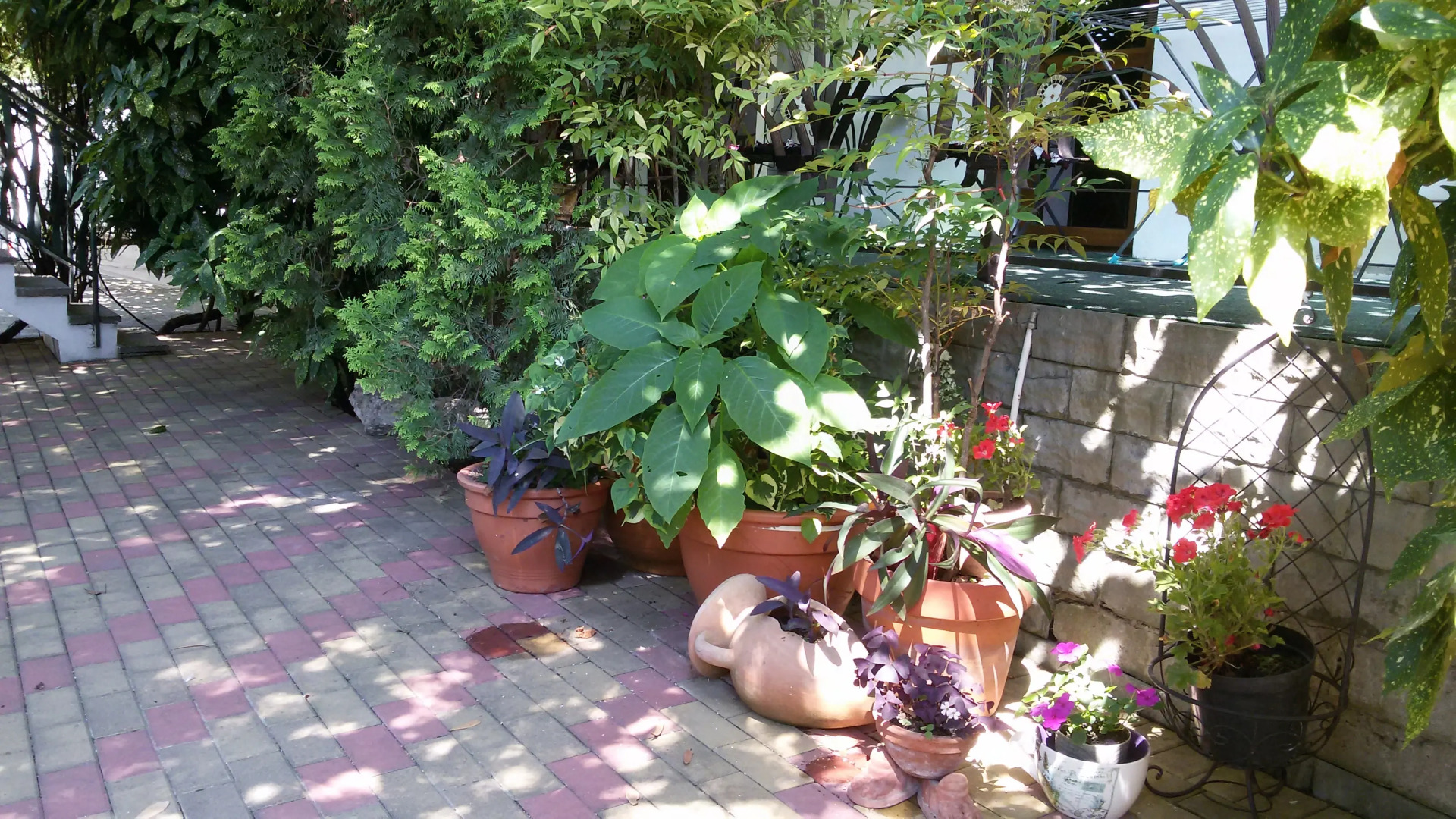 Гостевой дом Эвкалипт