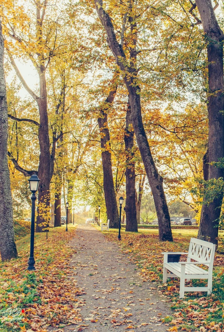 Гостиничный комплекс Имение Алтунъ корпус Барский флигель