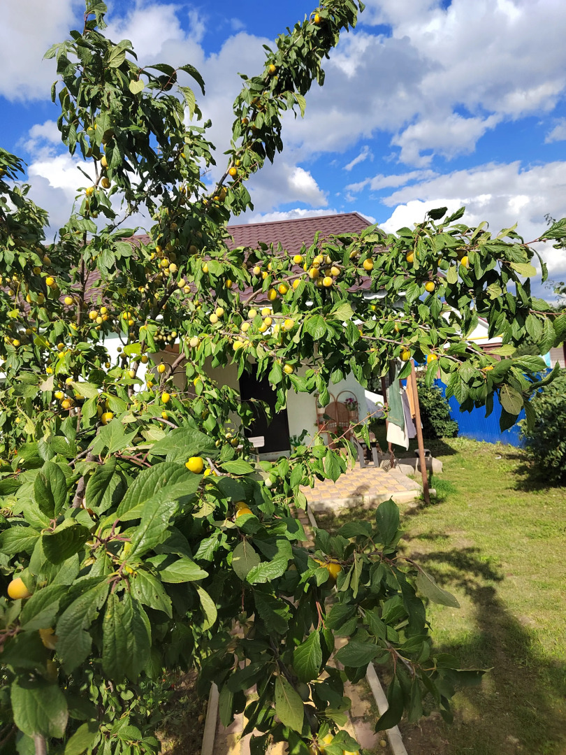 Частный Дом на Улице Черёмушки 25