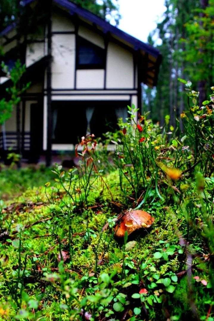 База Отдыха Ильичево