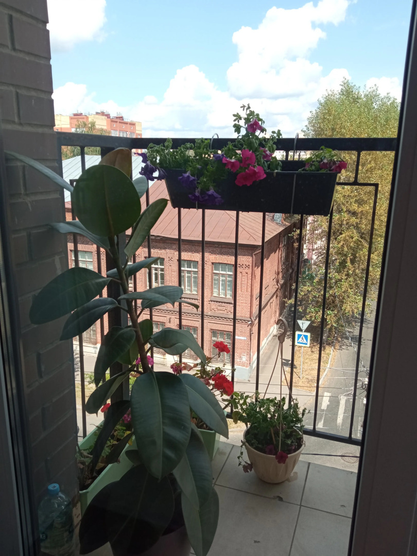 Квартира в Центре