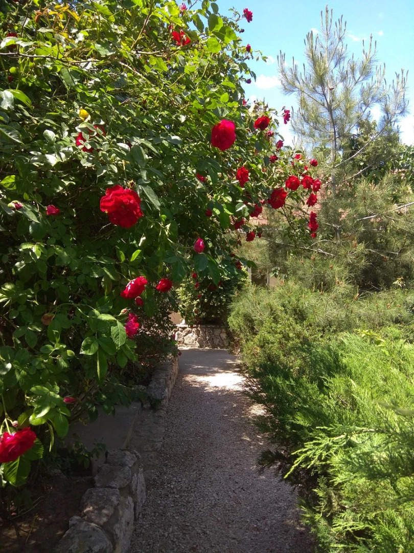 Гостевой дом Соната