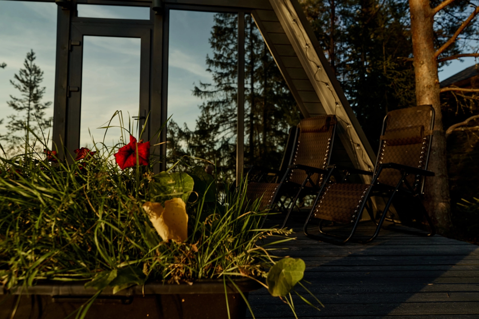 Гостевой дом Dream House in Karelia