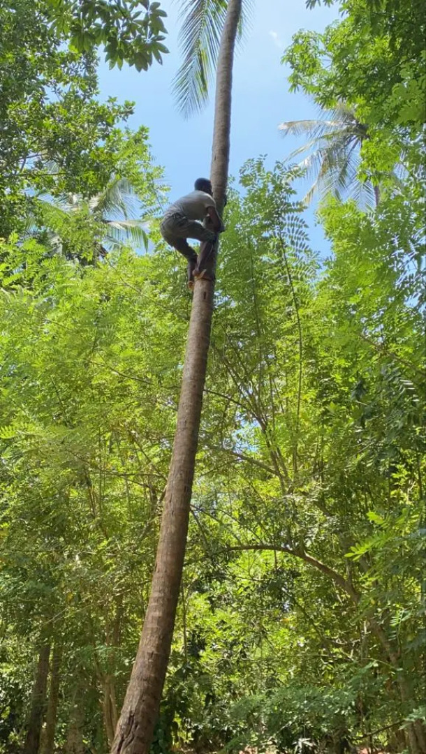 Бунгало Matemwe Baharini Villas