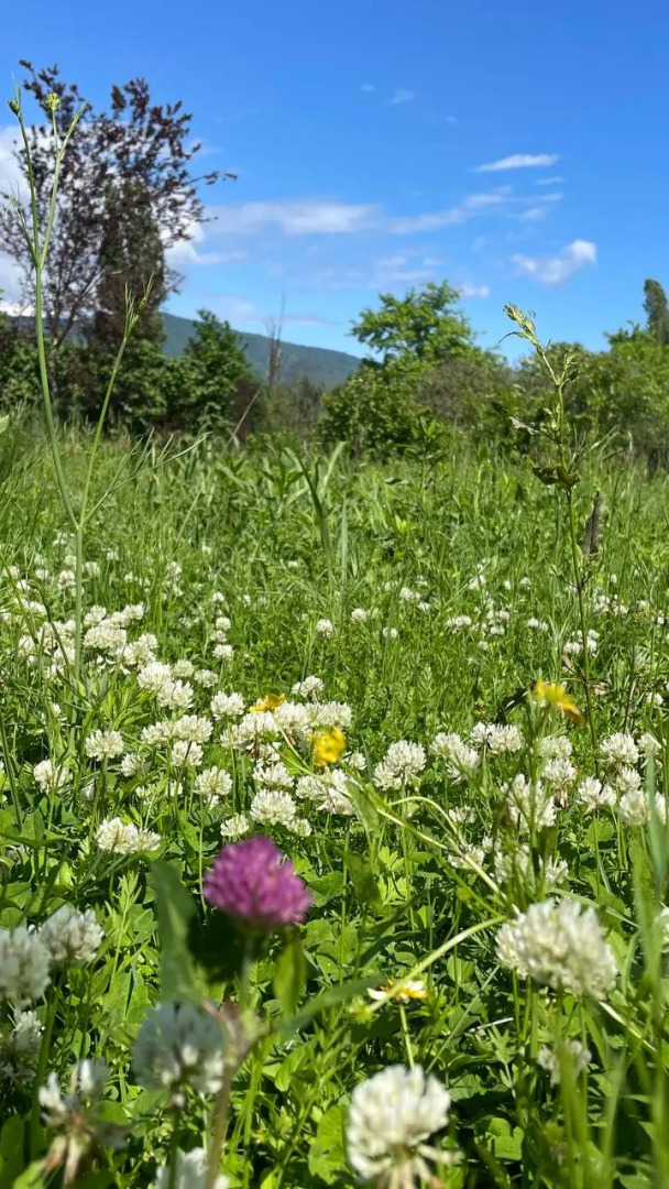 Частный дом Дом в Абхазии