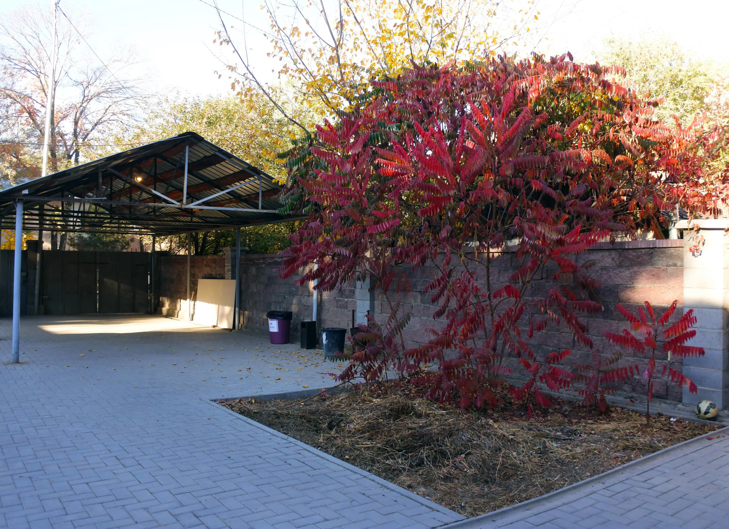 Хостел Almaty Backpackers