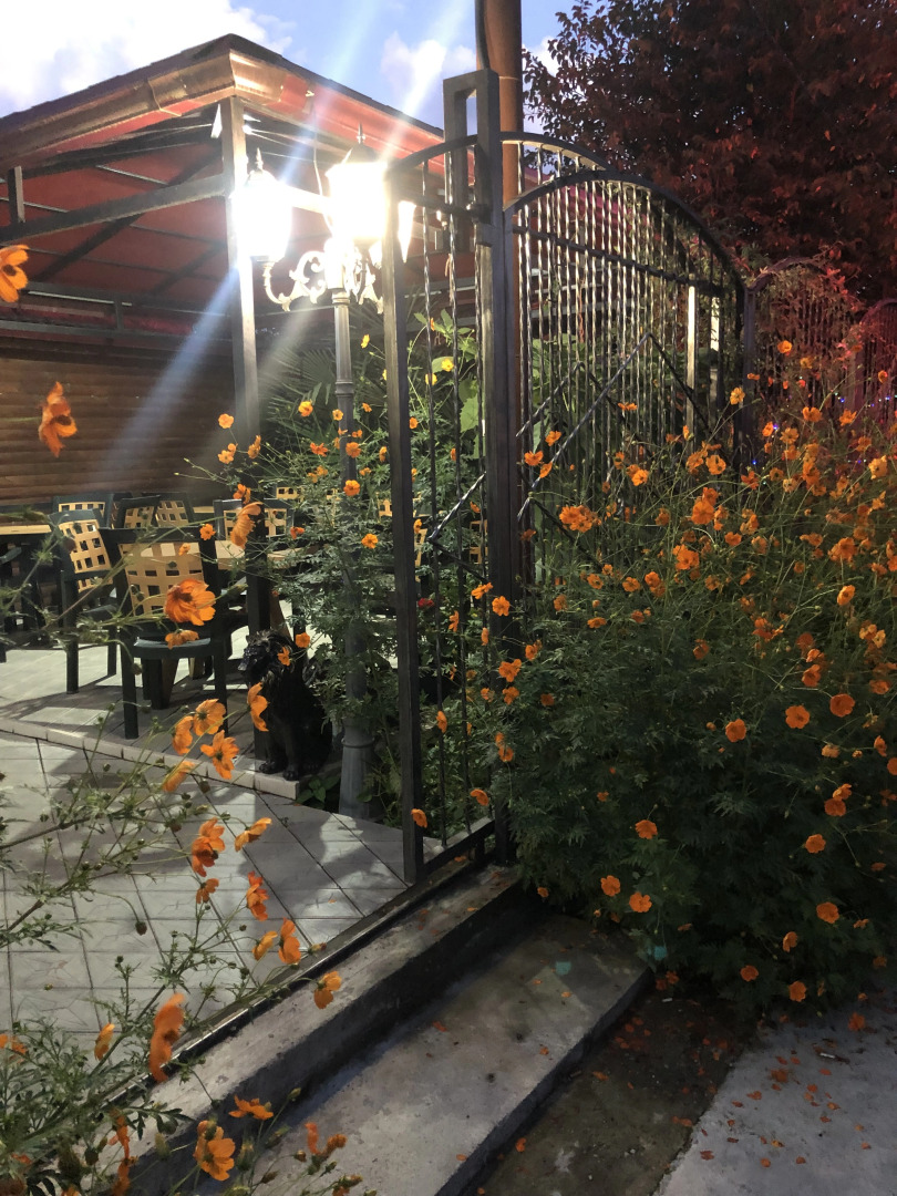 Гостевой дом Морская сказка