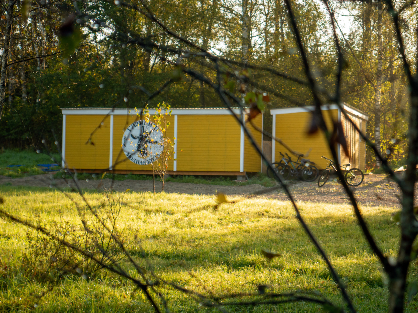 Кемпинг Модная коза