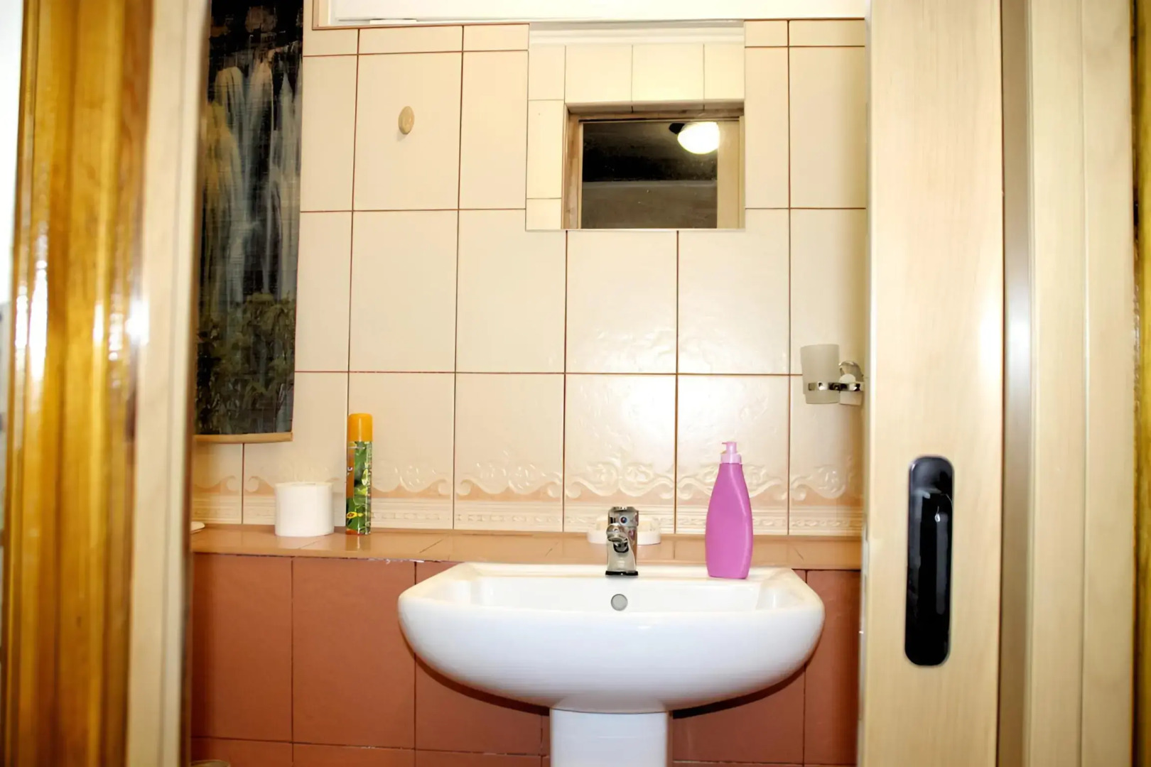 Апартаменты Кольцова 18/7