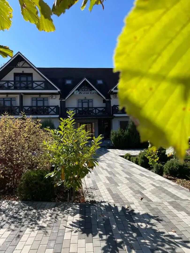 Отель Каштан