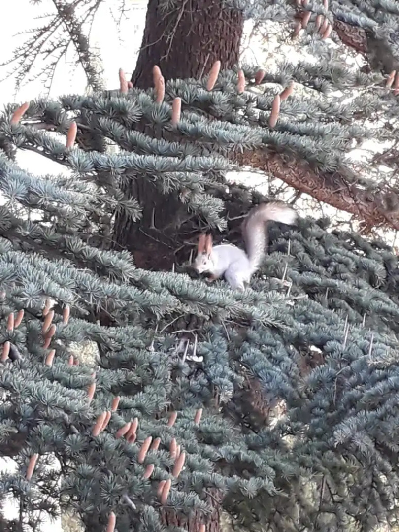 Апартаменты 2 У Приморского Парка