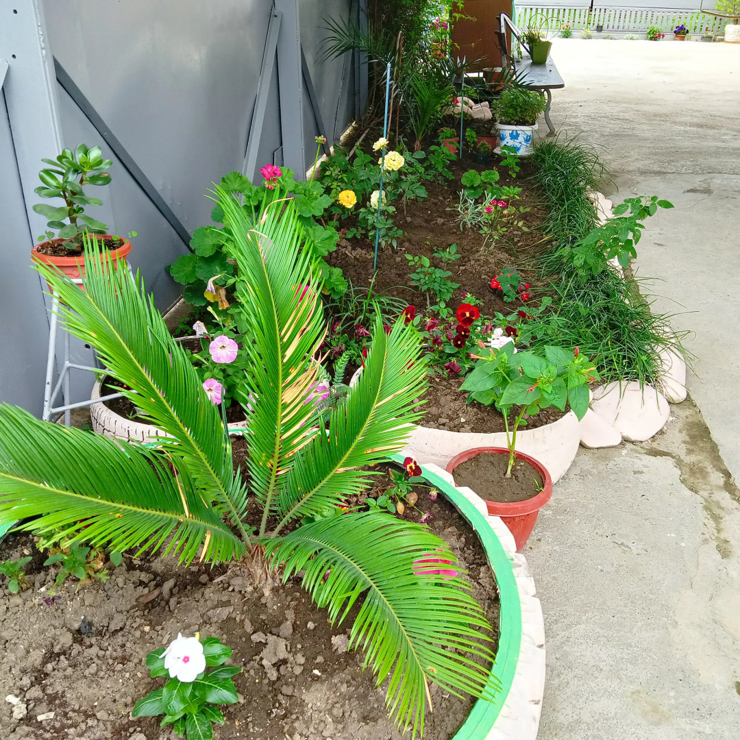 Гостевой дом У Адрианны