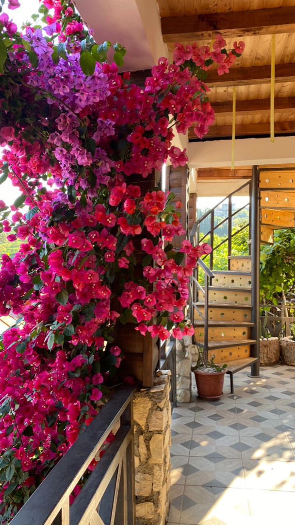 Гостевой Дом El Platano