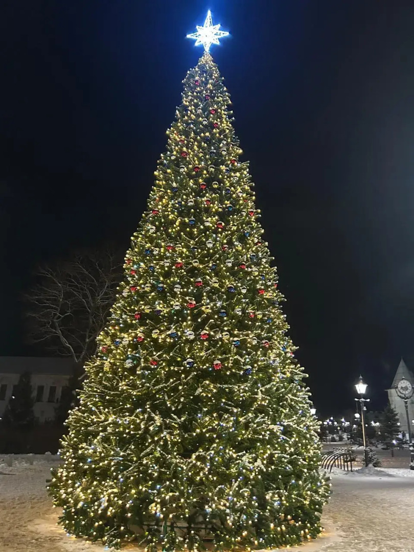 Частный дом Городская усадьба Ростов Великий