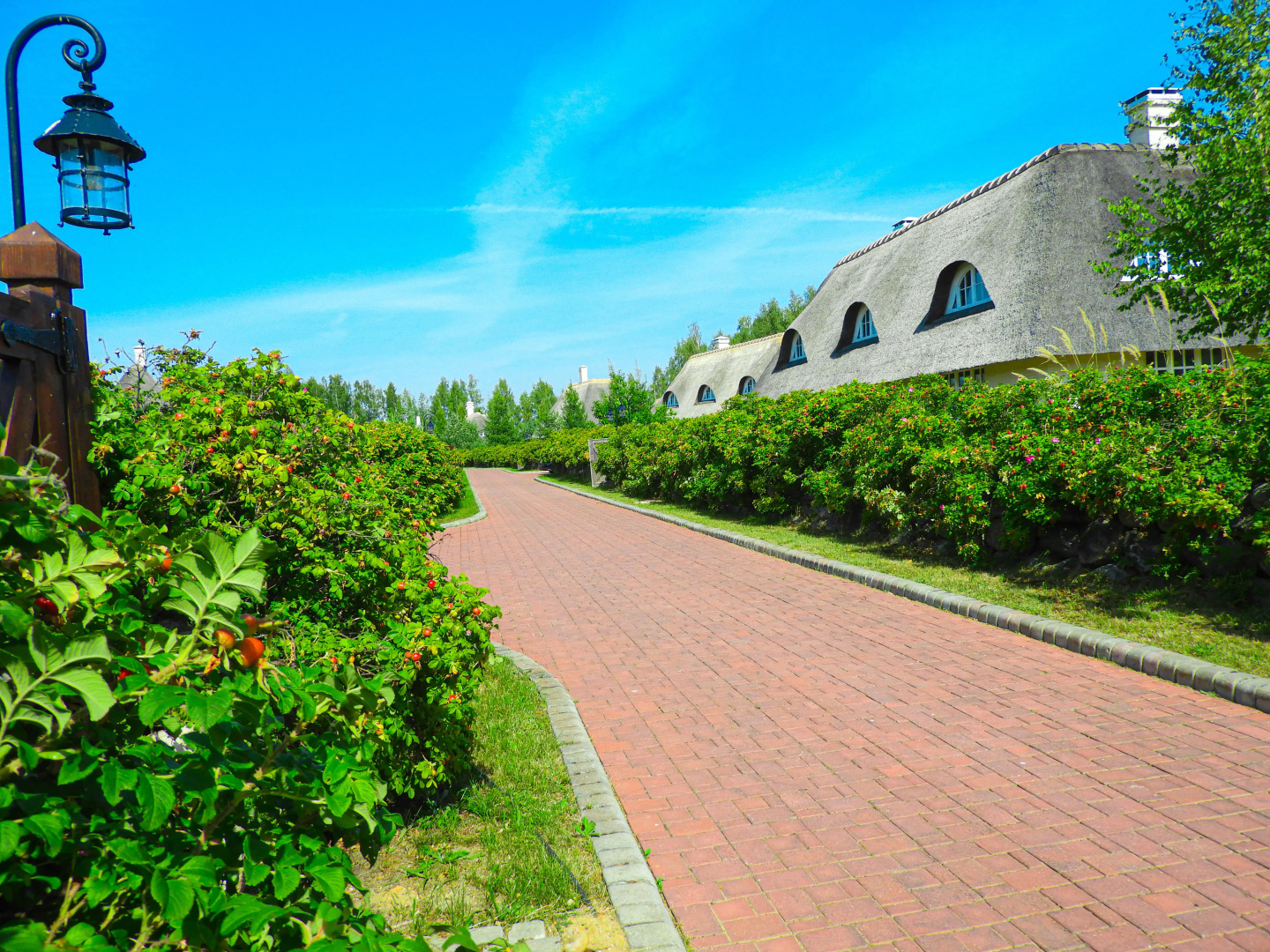 База отдыха Диканька