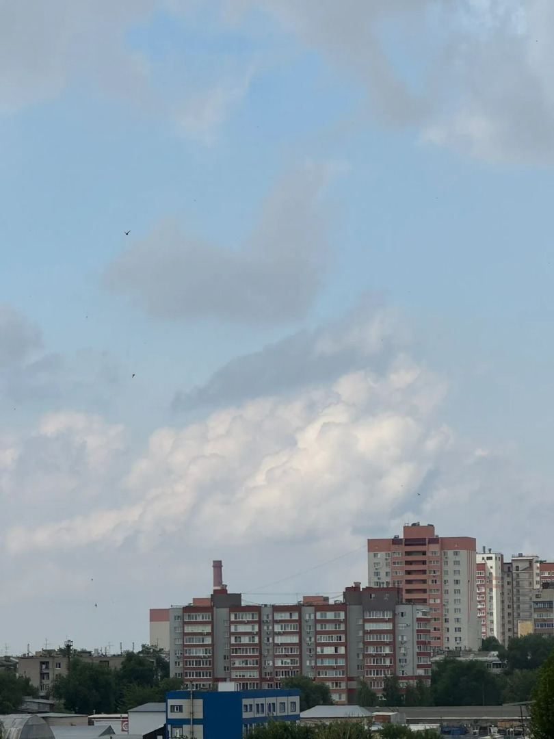 Апартаменты Мориса Тореза 79-38