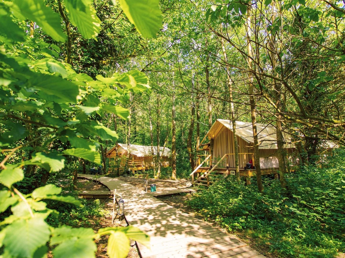 ЛЕС Глэмпинг и SPA