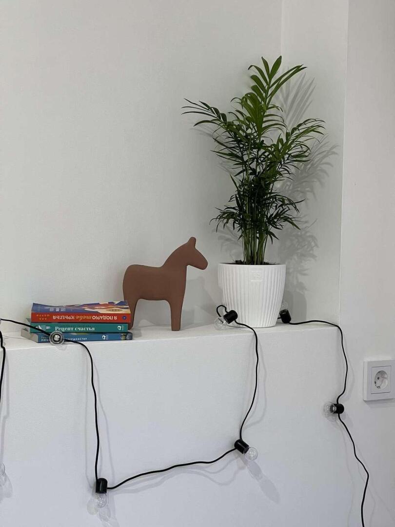 Апартаменты Куршская коса