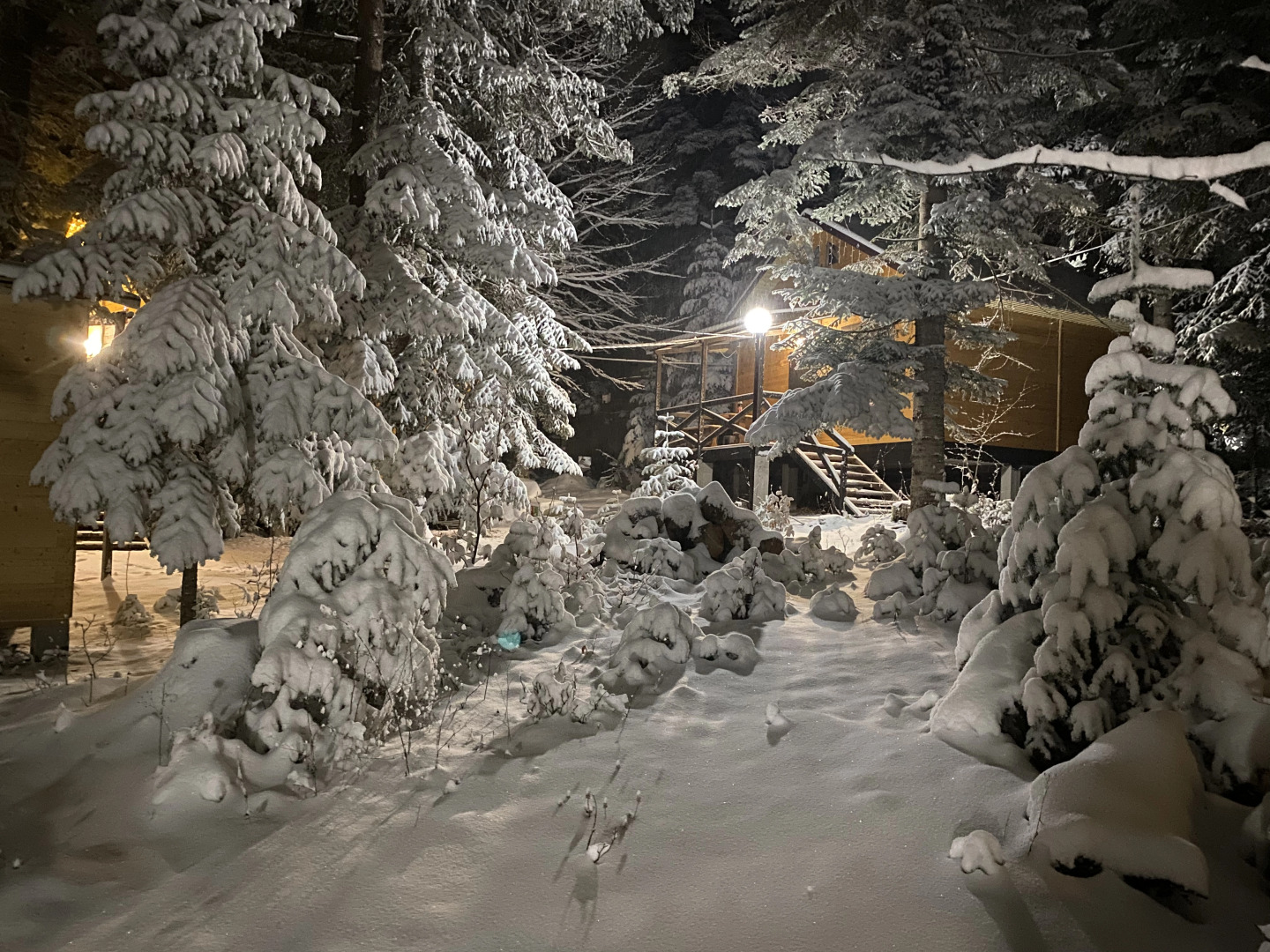 База отдыха Поляна Зубров