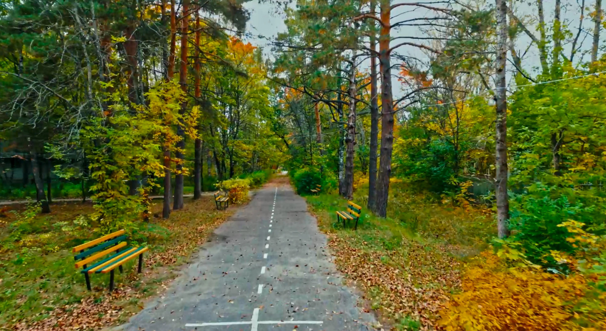 Отель Сосновый бор