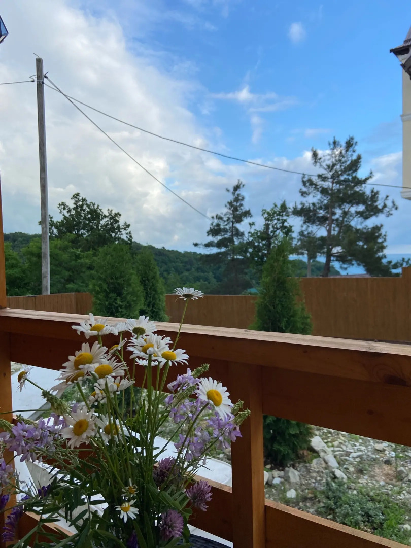 Гостевой дом Дельфин на Приморской