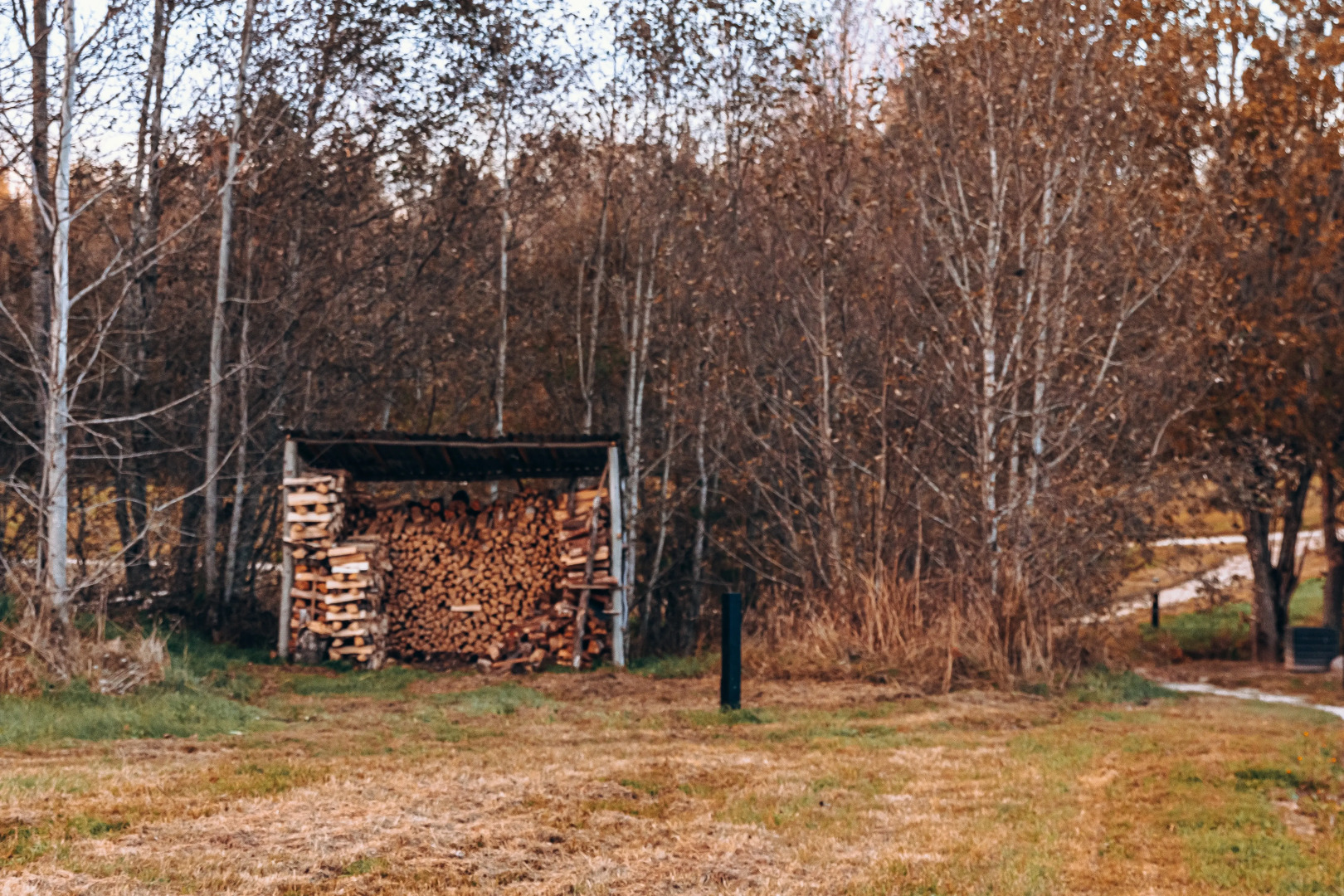 Кемпинг ForrestHome