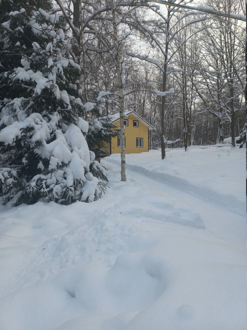 Эко-отель Березовая роща