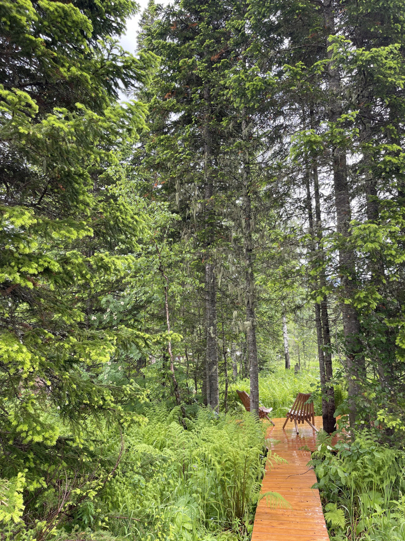 Шале GATSBY в стиле BarnHouse