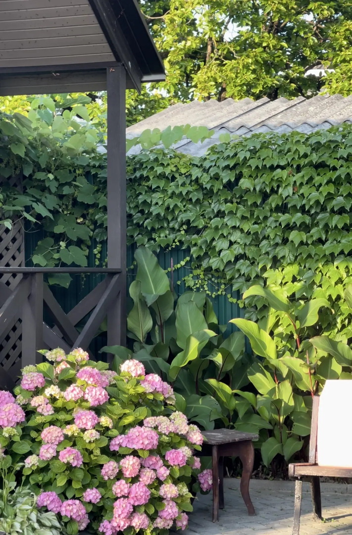 База отдыха Шезлонг