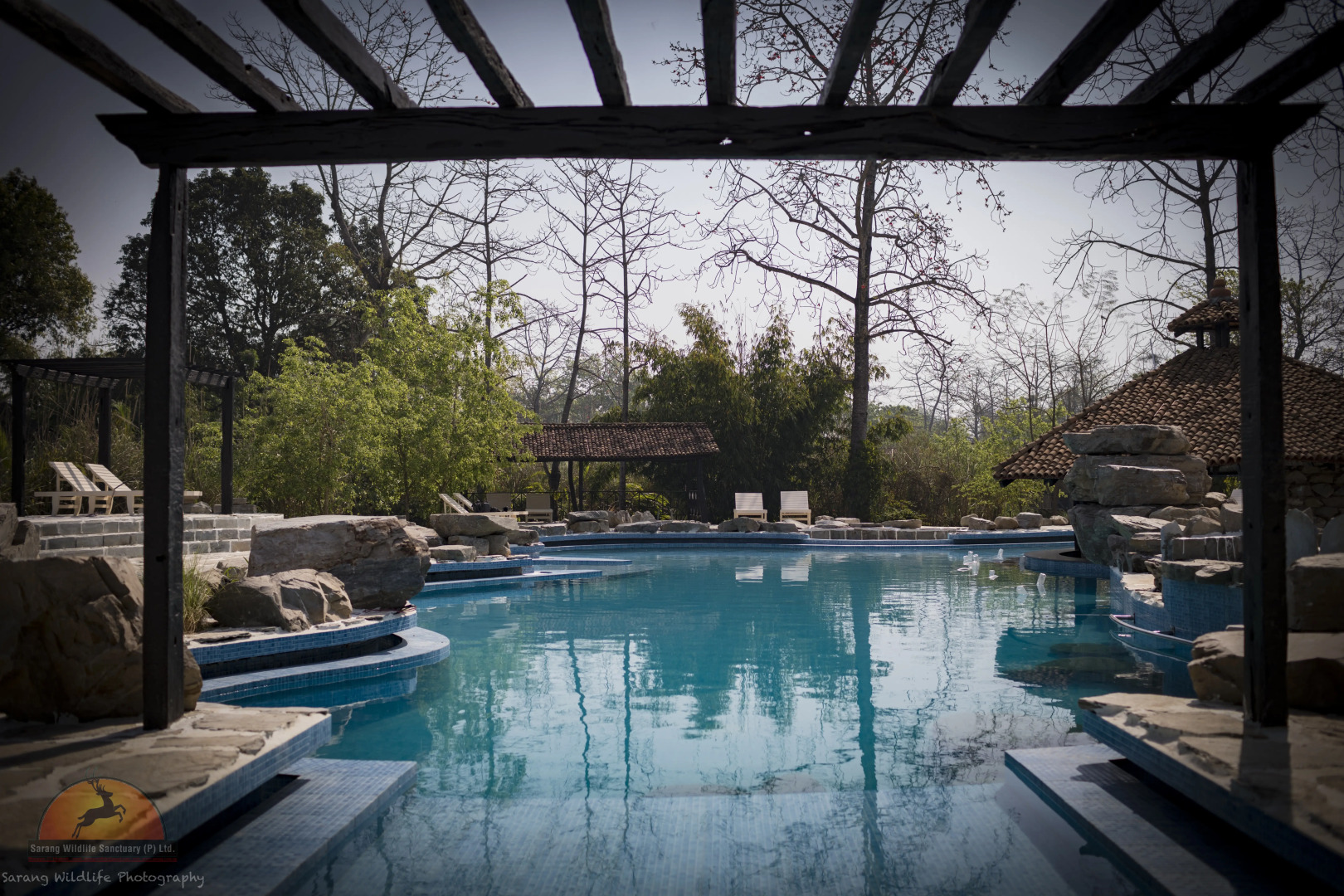 Отель Sarang Wildlife Sanctuary