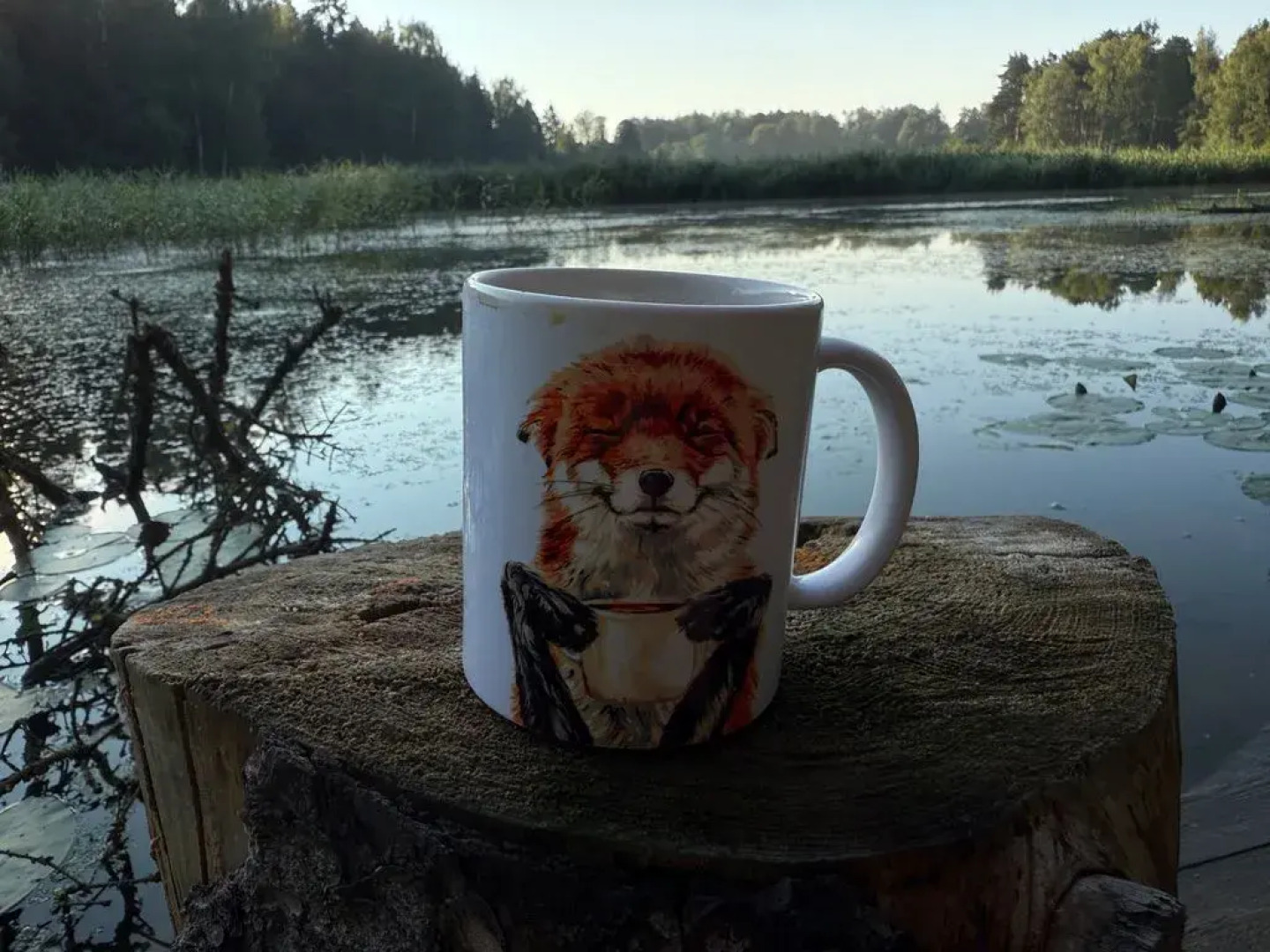 Частный дом с баней в лесу на берегу Истринского водохранилища