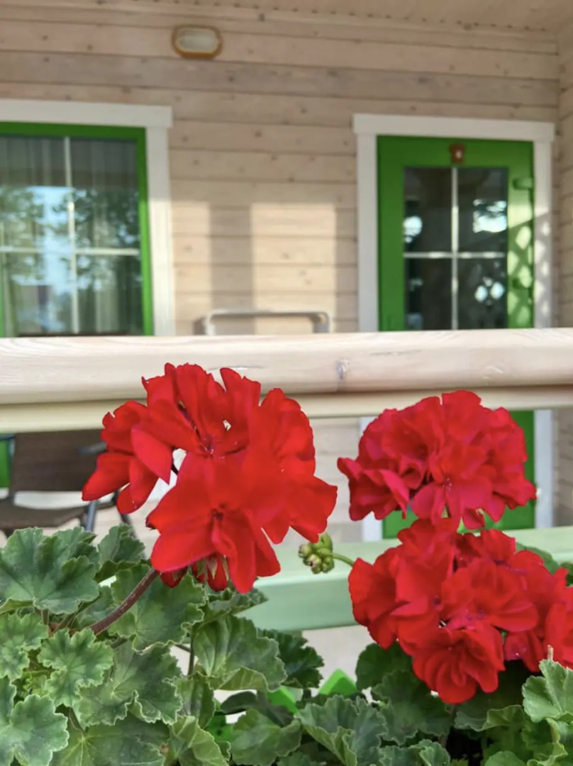 Гостевой дом Галла-Мария