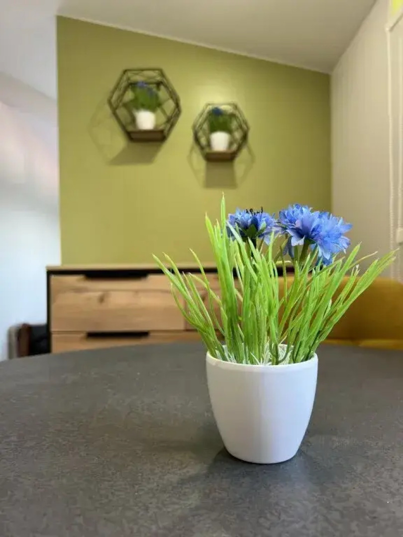 Апартаменты Крыша 6