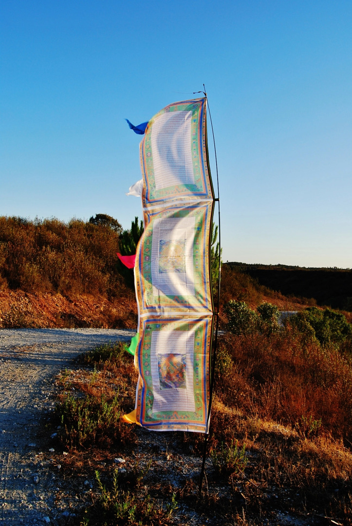 Гостевой Дом Buddha Peaceful Oasis