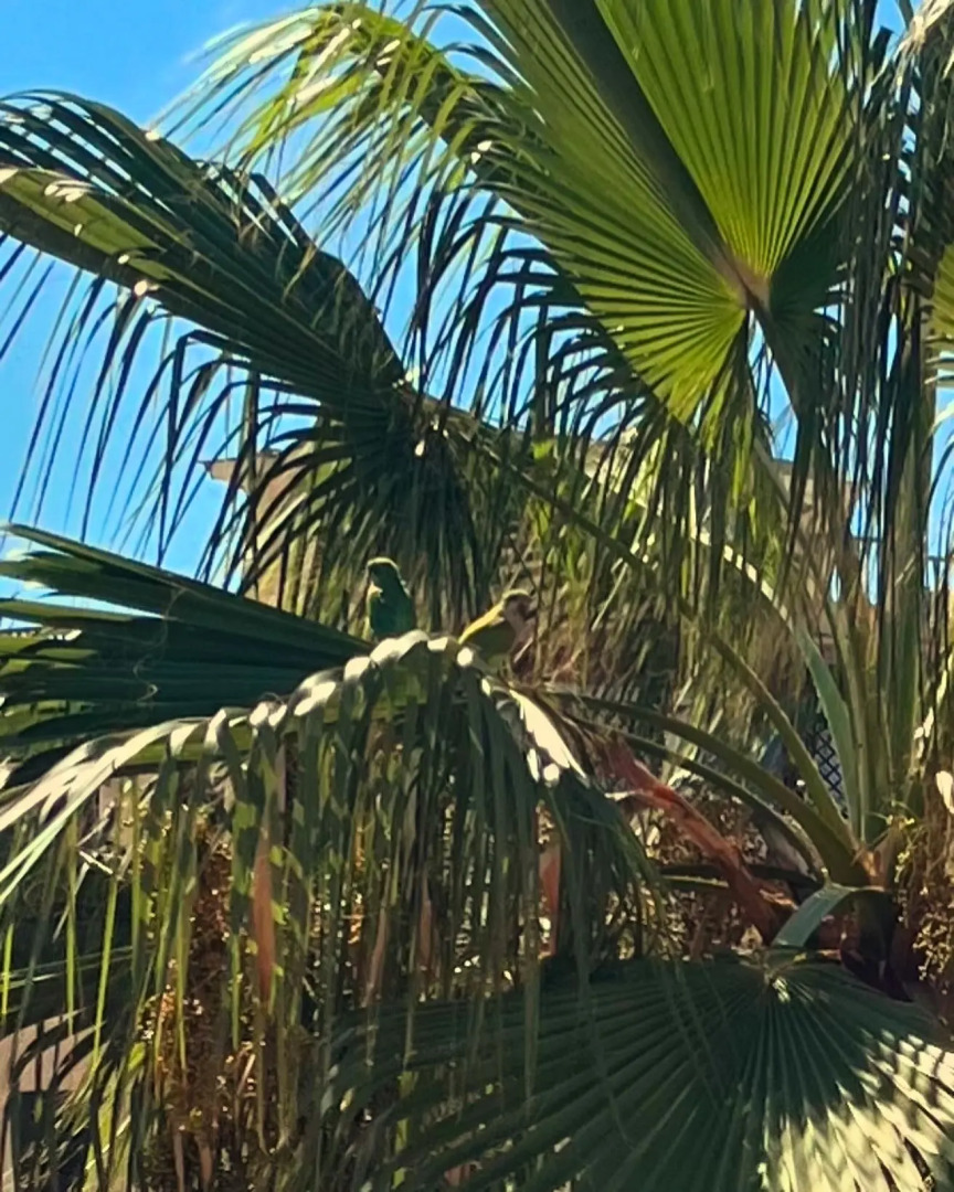 Ночлег и завтрак (B&B) Boutique B&B Barocchetto Romano Ostia Lido