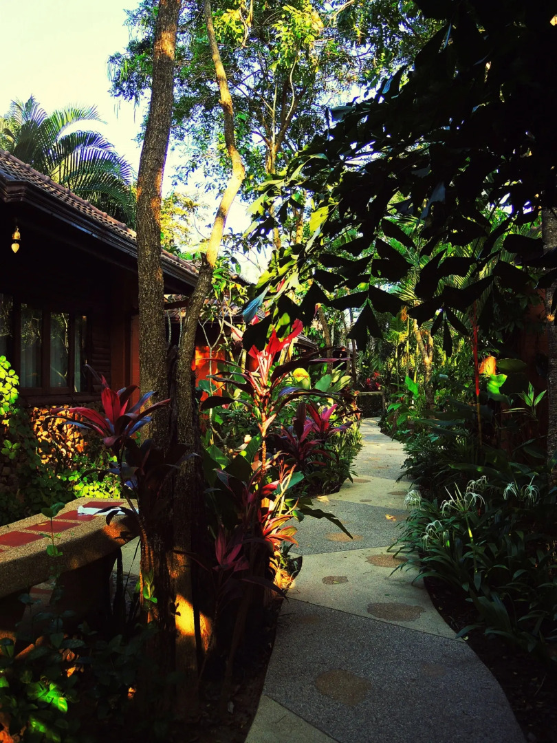 Мини-отель Polina Park